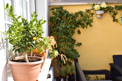 Casa Raichu — foto 8